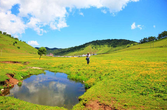 寶雞關(guān)山草原水源狀況