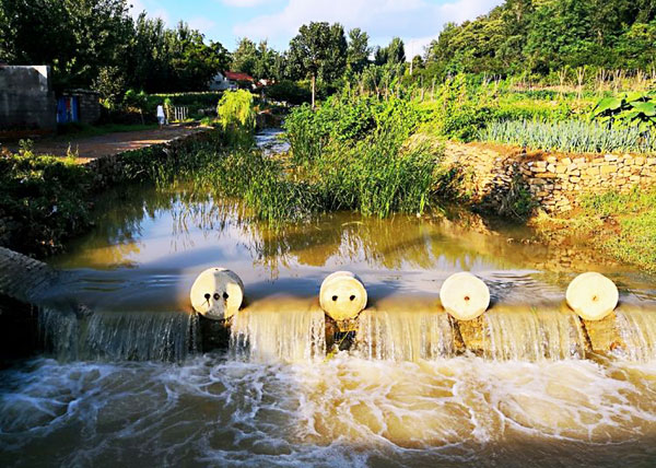 地表水水質混濁