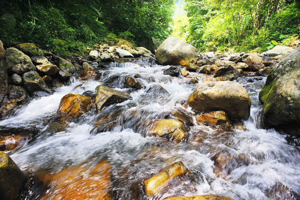 農村山泉水水源